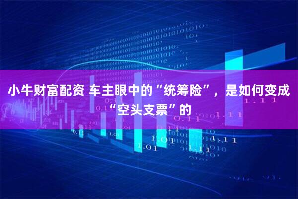 小牛财富配资 车主眼中的“统筹险”，是如何变成“空头支票”的