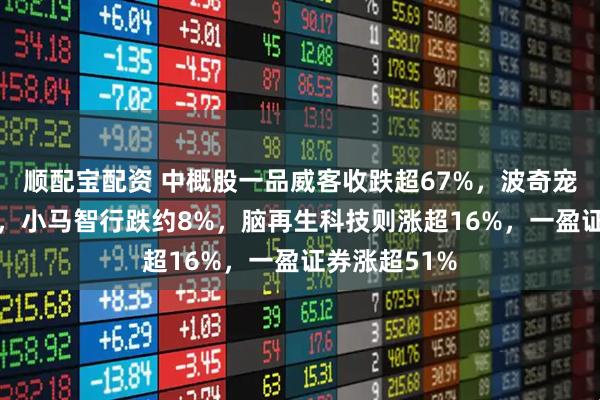 顺配宝配资 中概股一品威客收跌超67%，波奇宠物跌约28%，小马智行跌约8%，脑再生科技则涨超16%，一盈证券涨超51%