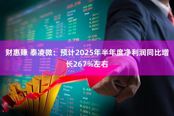 财惠赚 泰凌微：预计2025年半年度净利润同比增长267%左右